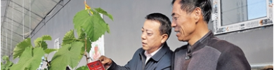 21_banner1_index_2